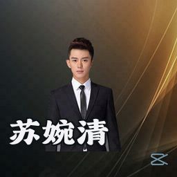 苏婉清